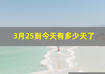 3月25到今天有多少天了