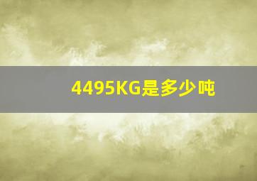 4495KG是多少吨