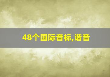 48个国际音标,谐音