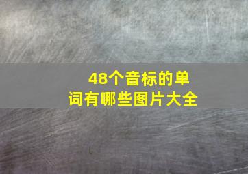 48个音标的单词有哪些图片大全