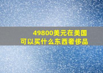 49800美元在美国可以买什么东西奢侈品