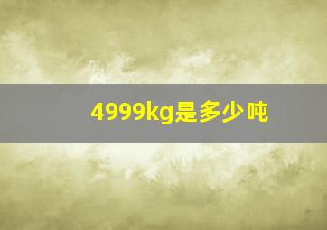 4999kg是多少吨