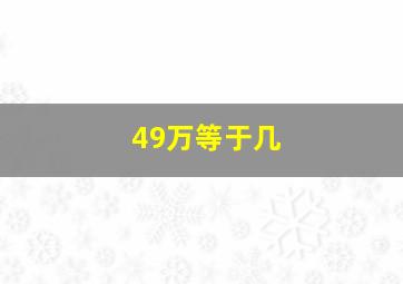 49万等于几