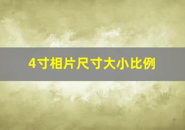 4寸相片尺寸大小比例