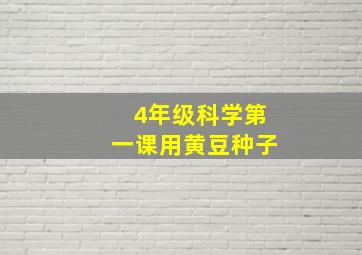 4年级科学第一课用黄豆种子