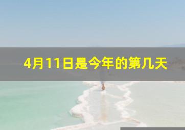 4月11日是今年的第几天