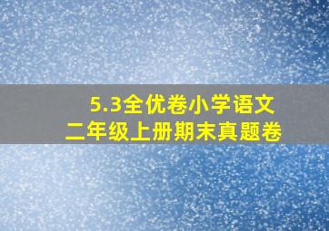 5.3全优卷小学语文二年级上册期末真题卷