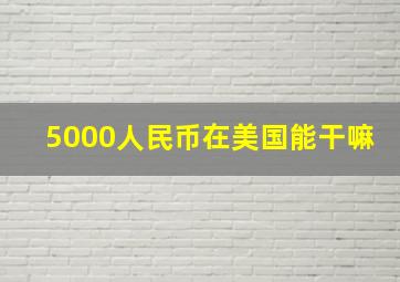 5000人民币在美国能干嘛