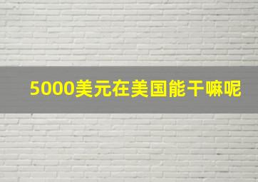 5000美元在美国能干嘛呢