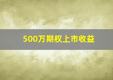 500万期权上市收益