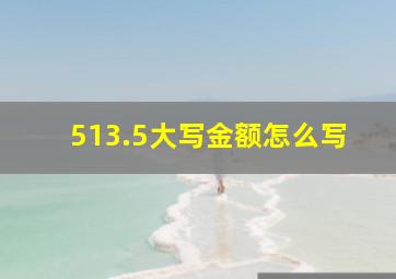 513.5大写金额怎么写