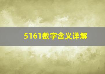 5161数字含义详解