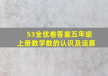 53全优卷答案五年级上册数学数的认识及运算