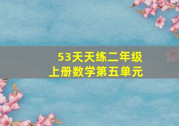 53天天练二年级上册数学第五单元