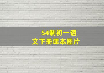 54制初一语文下册课本图片