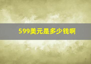 599美元是多少钱啊