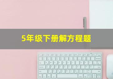 5年级下册解方程题