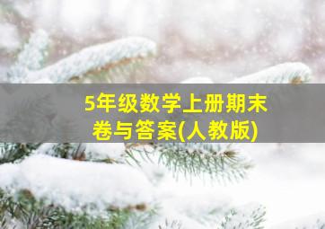 5年级数学上册期末卷与答案(人教版)