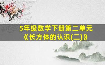 5年级数学下册第二单元《长方体的认识(二)》