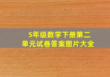 5年级数学下册第二单元试卷答案图片大全