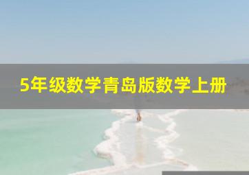 5年级数学青岛版数学上册