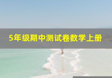 5年级期中测试卷数学上册