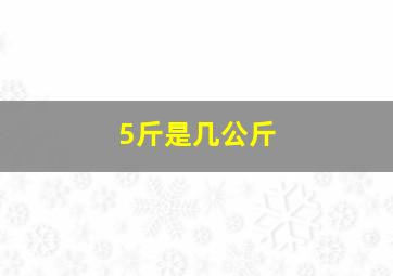 5斤是几公斤