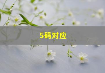 5码对应