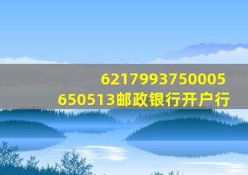 6217993750005650513邮政银行开户行