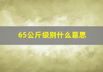 65公斤级别什么意思