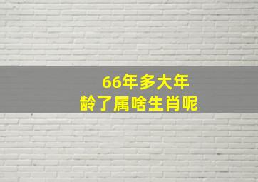 66年多大年龄了属啥生肖呢