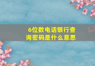 6位数电话银行查询密码是什么意思