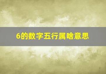 6的数字五行属啥意思