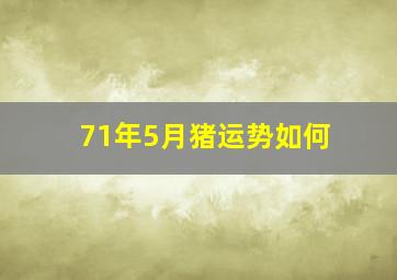 71年5月猪运势如何