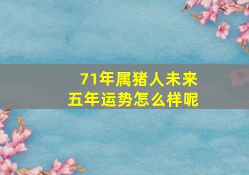 71年属猪人未来五年运势怎么样呢