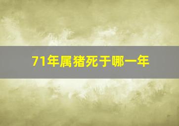 71年属猪死于哪一年