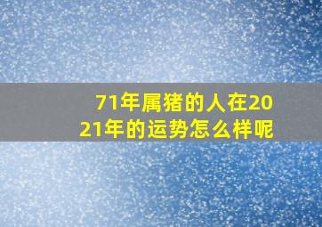 71年属猪的人在2021年的运势怎么样呢