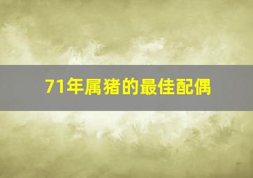 71年属猪的最佳配偶