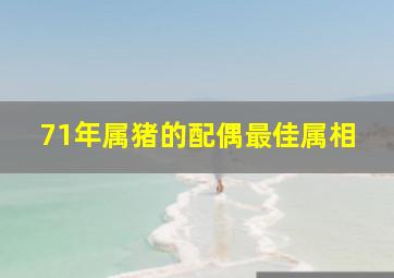 71年属猪的配偶最佳属相