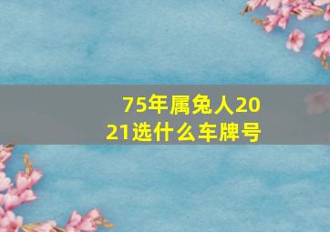 75年属兔人2021选什么车牌号