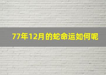 77年12月的蛇命运如何呢