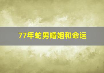 77年蛇男婚姻和命运