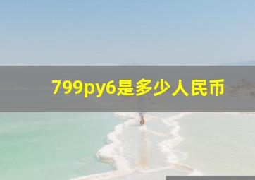 799py6是多少人民币