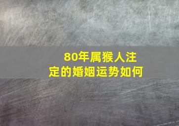 80年属猴人注定的婚姻运势如何