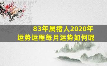 83年属猪人2020年运势运程每月运势如何呢