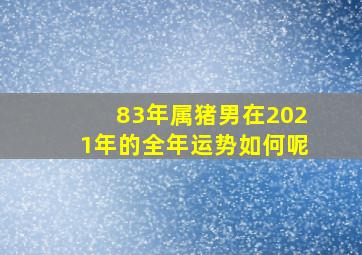 83年属猪男在2021年的全年运势如何呢