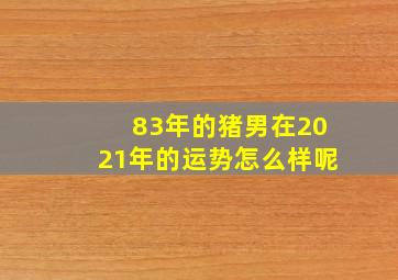 83年的猪男在2021年的运势怎么样呢