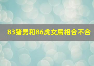 83猪男和86虎女属相合不合