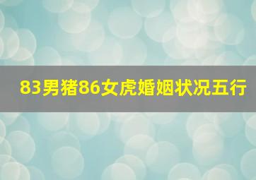 83男猪86女虎婚姻状况五行