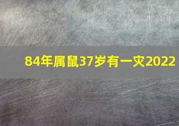 84年属鼠37岁有一灾2022